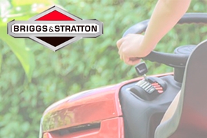 Briggs & Stratton Encuentra número y modelo